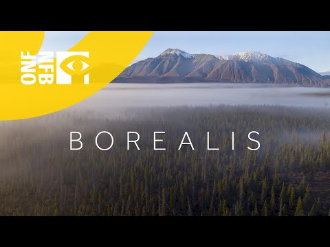 Borealis (Trailer 01m23s)