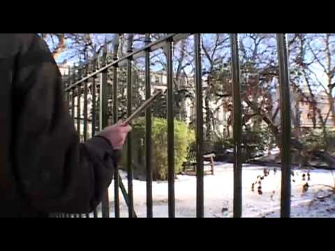 Francis Alÿs Railings (Fitzroy Square)