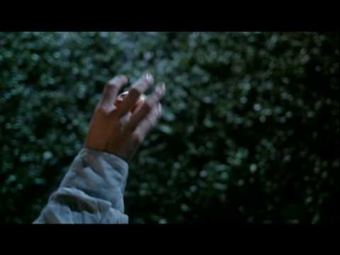 Last Life In The Universe trailer