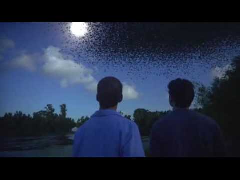 Quantum Apocalypse 2010 Trailer