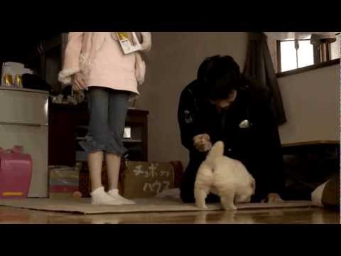 映画『犬のおまわりさん てのひらワンコ3D』予告編