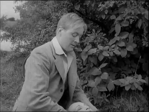 The Vanquished I Vinti,Michelangelo Antonioni (1953)  Original Trailer !