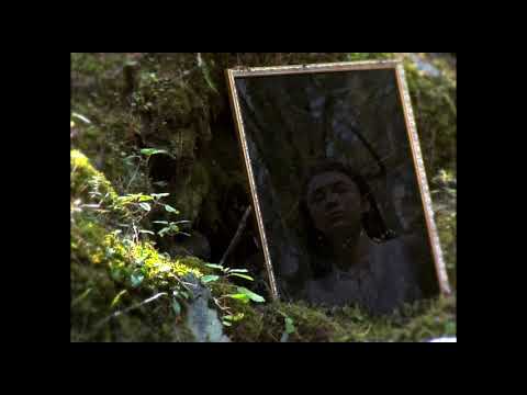 Toda la luz que podemos ver - Trailer