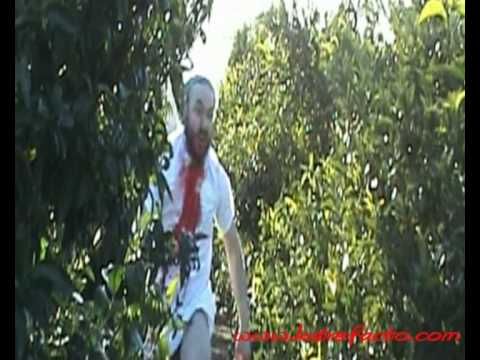 trailer el hijo del naranjo 2