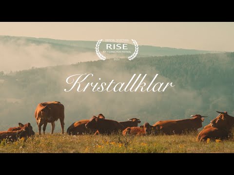 Kristallklar - A Fly Fishing Film (Official Trailer)