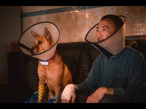 Official UK Trailer [Subtitled]