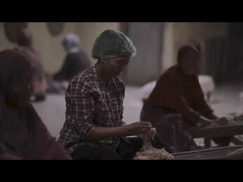 JAFF20 Trailer | For a Moment, The Moon and Stars Aligned / Kurinrera | Layar Komunitas