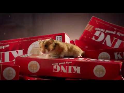 MY FRIEND RAFFI TRAILER HD