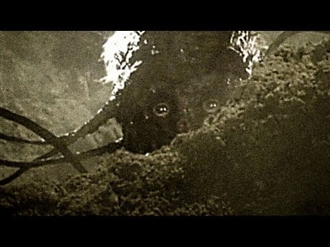 War of the Worlds The True Story TVspot - Oscar®Contender ON DVD & ON DEMAND!