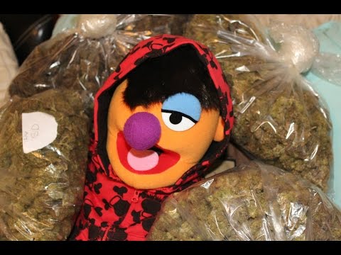 PATIENCE episode 3 "The love episode"