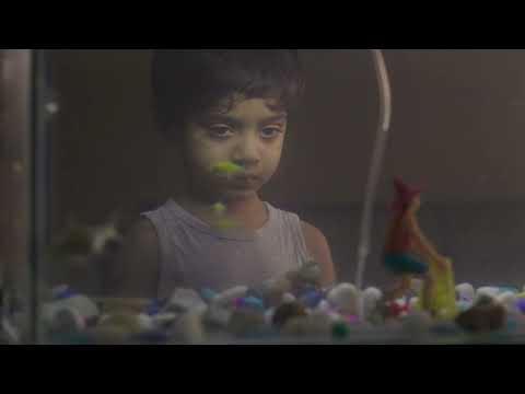 TRAILER -  Shades Of (Baby) Pink |  | 15th International Children's Film Festival Bangladesh