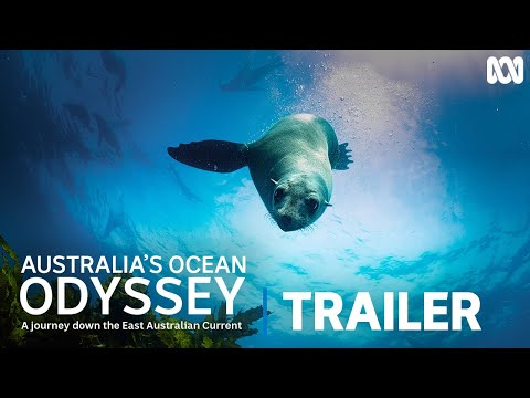 Australia's Ocean Odyssey: A Journey Down The East Australian Current | Official Trailer