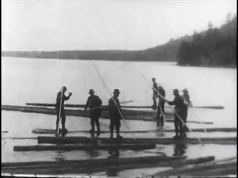 Logging in Maine (1906) AM&B