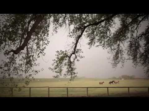 URANIUM DRIVE-IN - Official Trailer