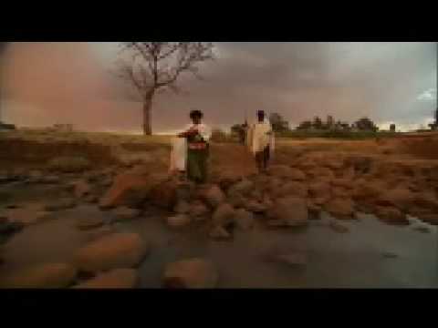 trailer - a walk to beautiful