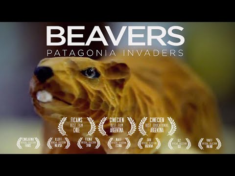 Beavers. Patagonia invaders. Trailer