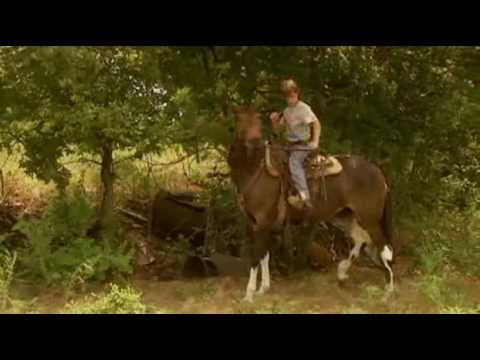 Tommy and The Cool Mule - Trailer