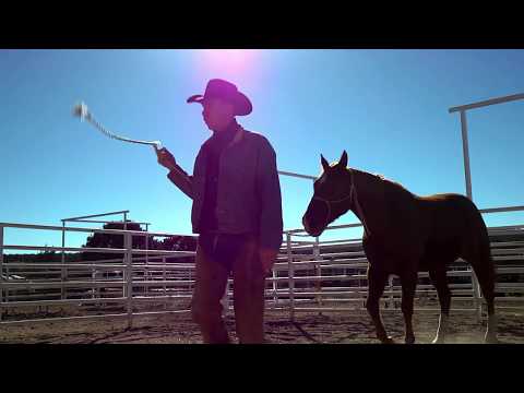 Everything in the Song is True (2 min trailer)