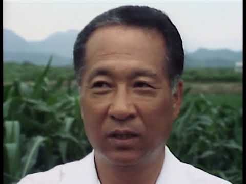 Hot Docs 2023 Trailer: HOMES APART: KOREA