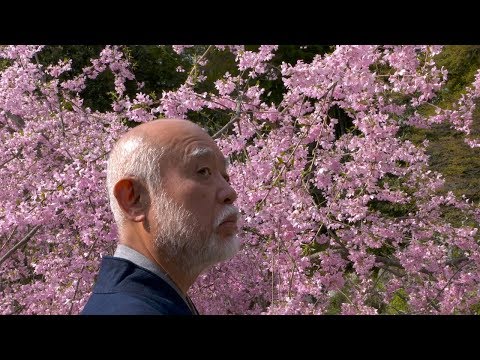 DIE REISE DES BASHO (Official Trailer / Deutsch)