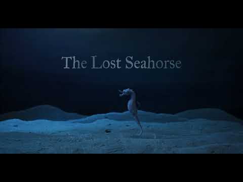 The Lost Seahorse - Official Trailer
