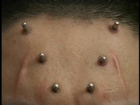 Flesh and Blood Trailer