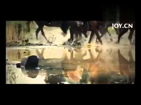 AVALOKITESVARA 不肯去观音