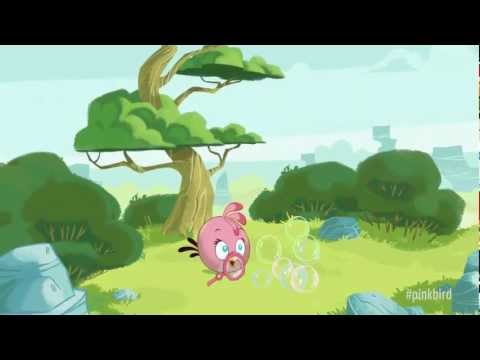 Meet the Pink Bird: A new member of the Angry Birds!