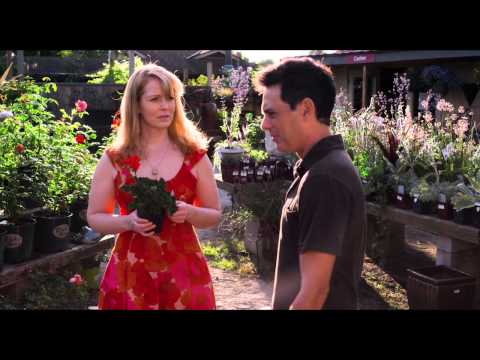 Patterson's Wager trailer (U.S. version)