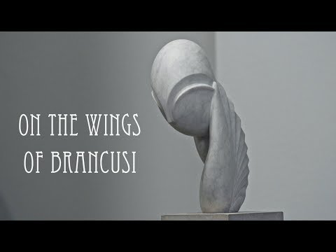 On the Wings of Brancusi - Trailer