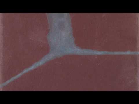 Trailer | Traces of a Landscape | Petr Zaruba