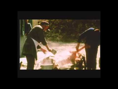 Doc in Tour 2015 - Questa non è una esercitazione - Regia: Alessandro Cavazza