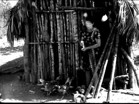 Vivendo os Tombos, Carvoeiros (1977, Documentário)