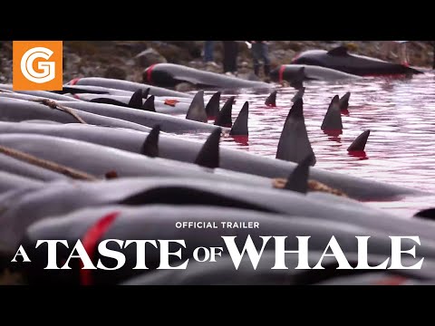 A Taste of Whale | Official Trailer