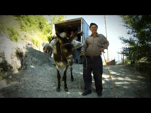 The Grocer/Ο Μανάβης trailer