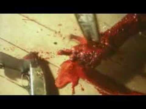 Leif Jonker's Darkness - trailer