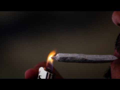 EVERGREEN: THE ROAD TO LEGALIZATION [Official HD Trailer - 2013]