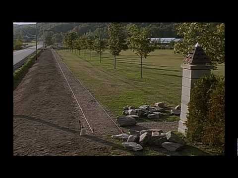 TRIUMPH OF THE WALL - Official Trailer