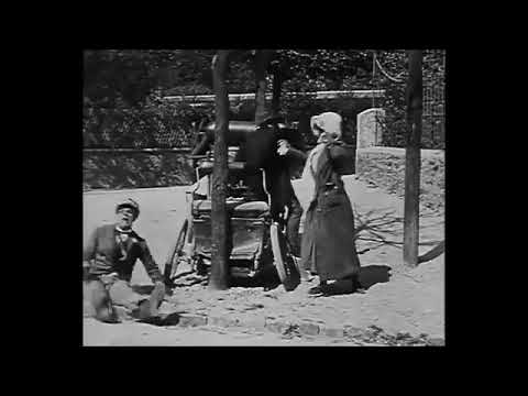 Zigoto promene ses amis HD