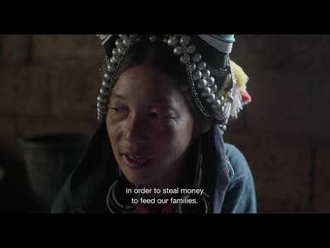 Trailer | Century of Smoke | Nicolas Graux