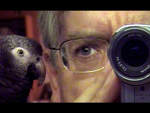 Le Filmeur d'Alain Cavalier - Bande-annonce