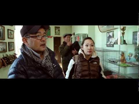 SARNII GULUG kino / САРНЫ ГӨЛӨГ уран сайхны кино