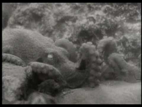 The Incredible Petrified World (1957) trailer