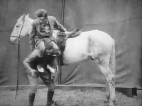 FIRE THE COOK (aka The Dippy Daughter) (1918) - Toto