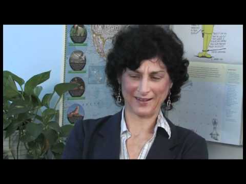 Toxic Soup - SUBMISSION ÉCU 2011