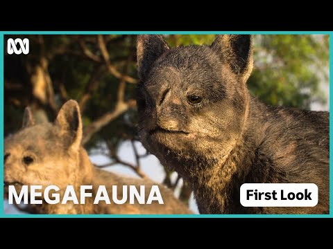 Megafauna: What Killed Australia's Giants?