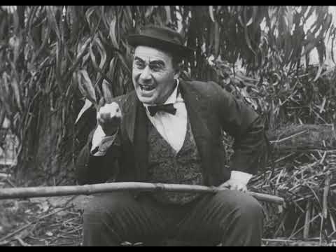 A Fishy Affair 1913 720p Bluray AC3 x264 GCJM