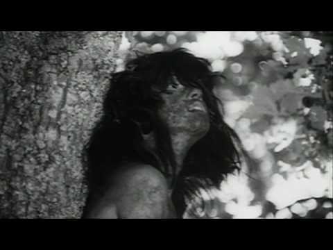 TRUFFAUT'S WILD CHILD