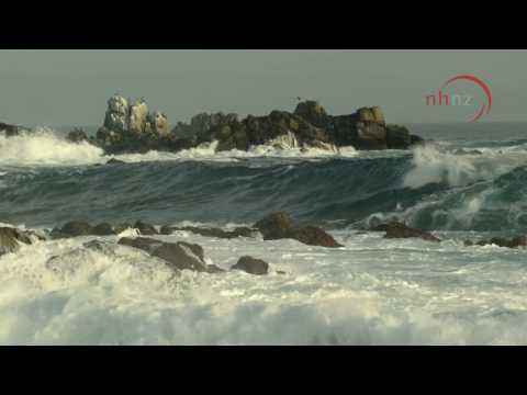 Big Pacific: Passionate, Voracious, Mysterious, Violent, by Rebecca Tansley