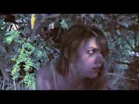 The Desires of Dawn Trailer